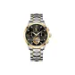 9303-Gold Black Dial