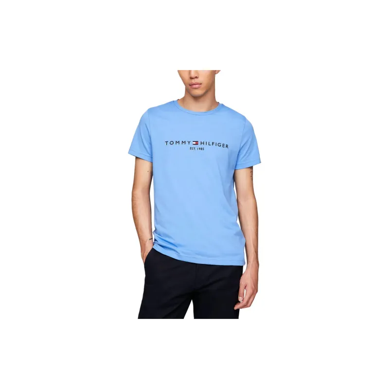 Tommy Hilfiger T Shirt Men's Blue-1