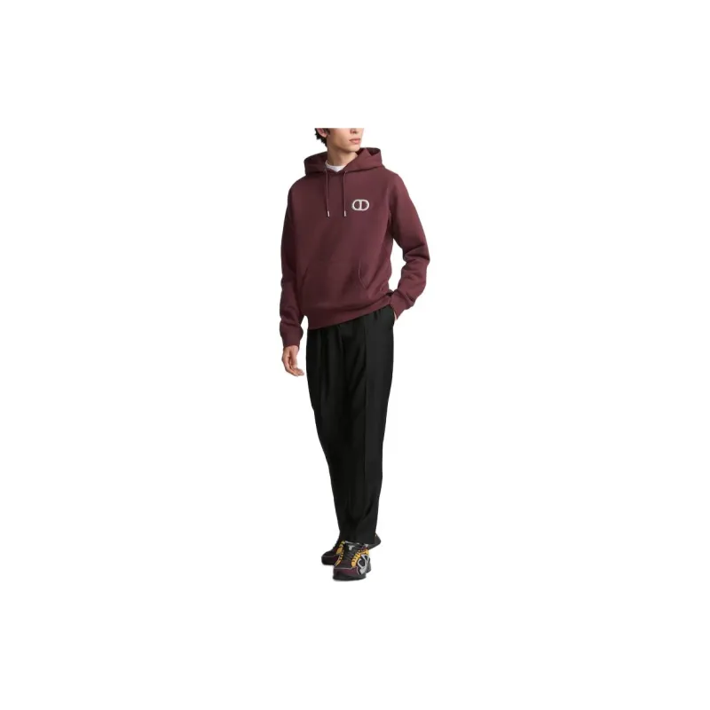 DIOR Cd Icon Drawstring Hoodie-2
