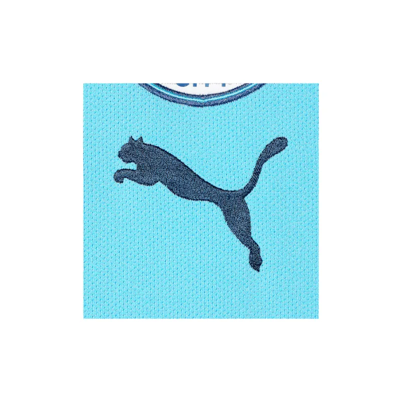 PUMA Manchester City Soccer Jerseys Men's Light Blue-6