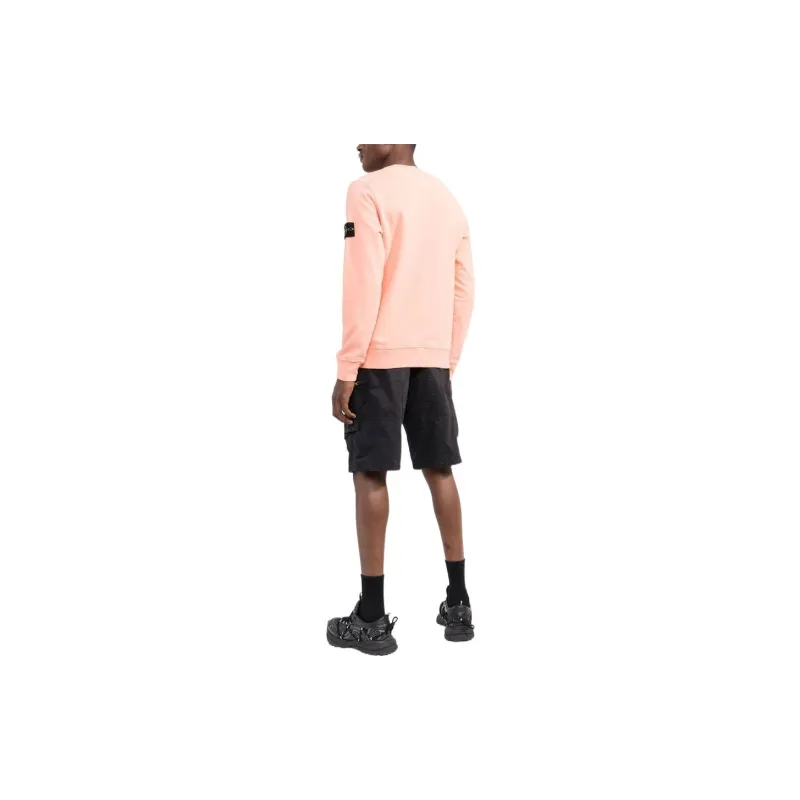 STONE ISLAND Sweatshirt Men's Flesh-2