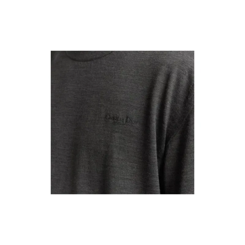 DIOR Solid Color Letter Embroidery Crew Neck Pullover Short Sleeved T Shirt Men's Gray-2