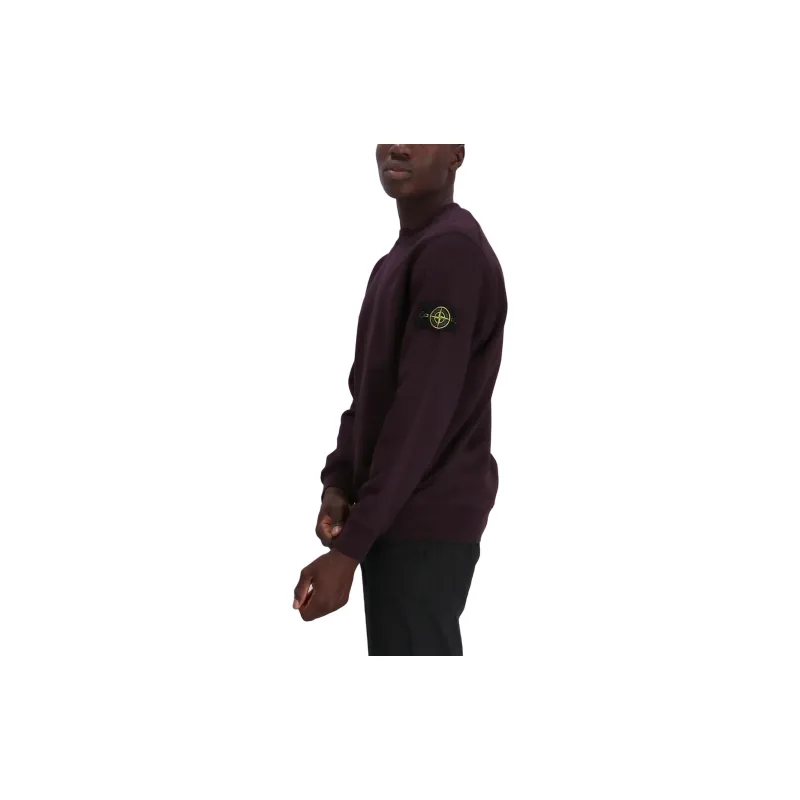 STONE ISLAND Sweatshirt Men's Purple-3