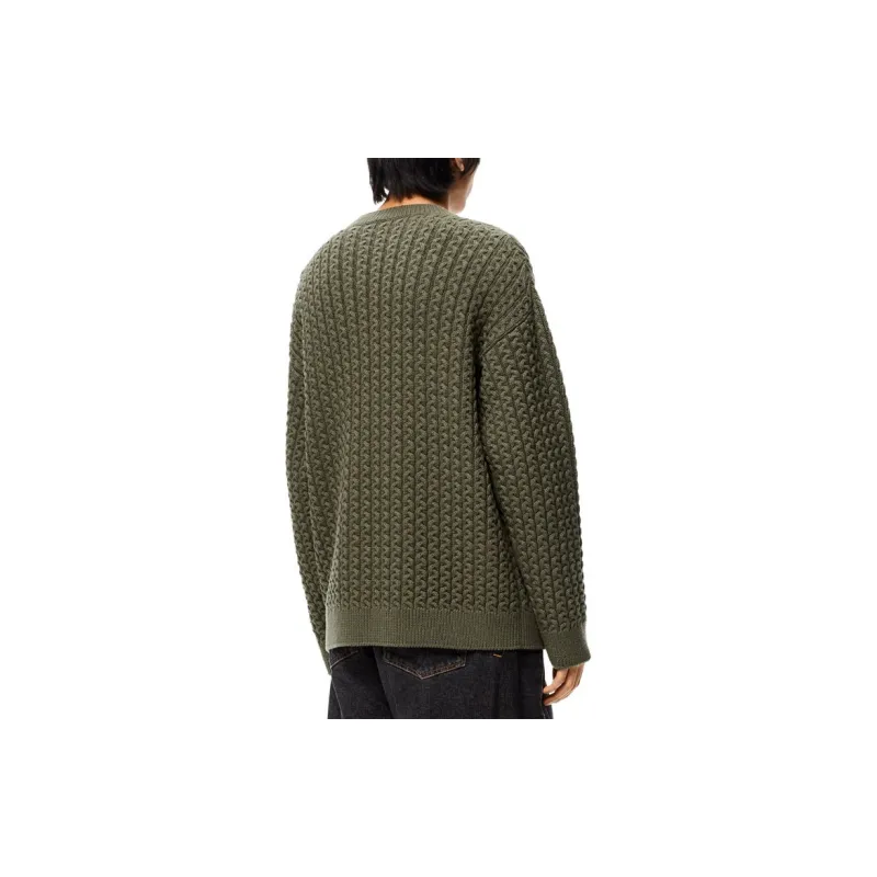LOEWE Sweaters Men Green-1
