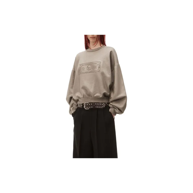 Alexander Wang Dollar Bill Crewneck Sweatshirt-1