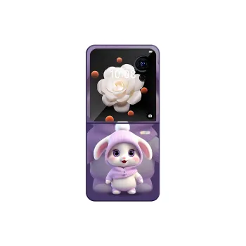 CHUNFAN Phone Cases