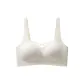 Champagne White