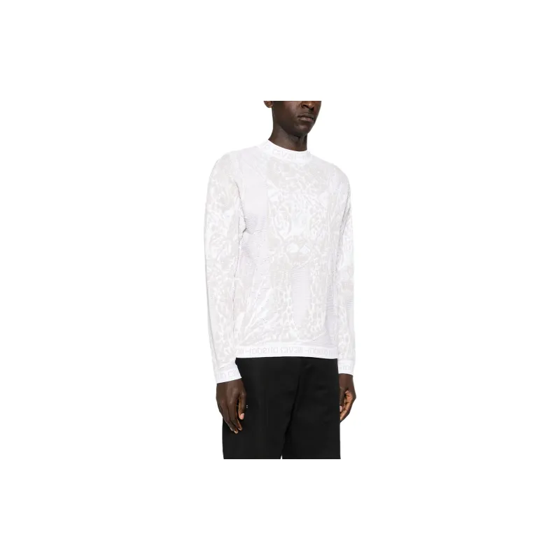 Roberto Cavalli Tiger-motif Jacquard Jumper-3