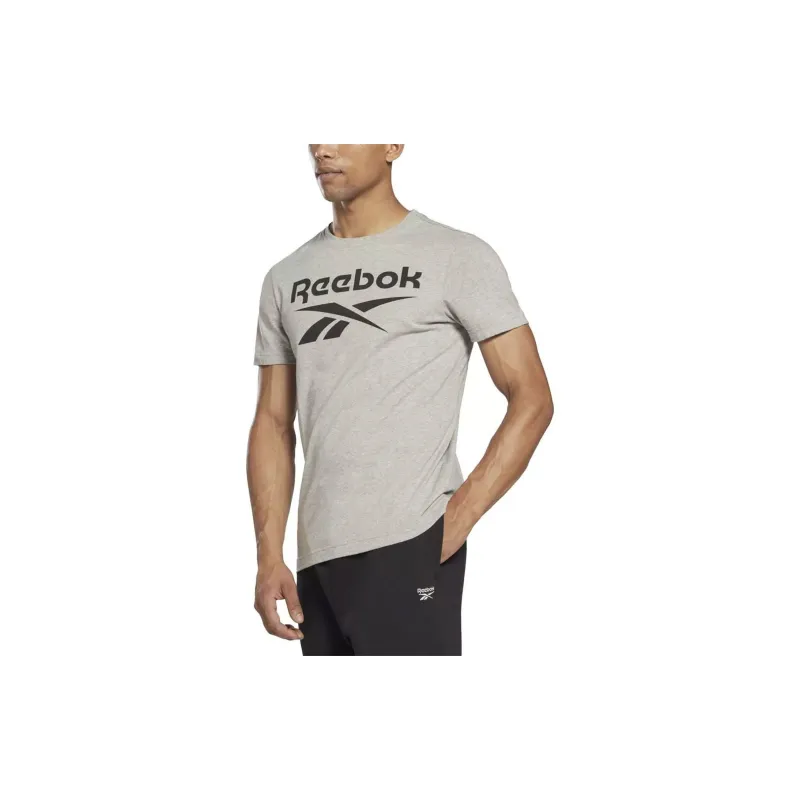 Reebok RI BIG LOGO TEE T-Shirt Men's Gray-2