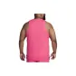 Aster Pink