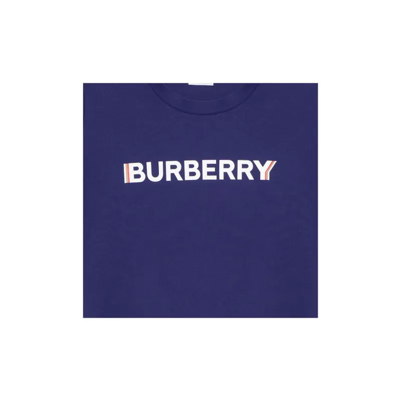 Burberry T Shirts Men Blue-5