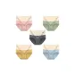 MY-6026/Cameo Brown+Pea Green+Dark Gray+Ginger Yellow+Gray Blue/5 Pack