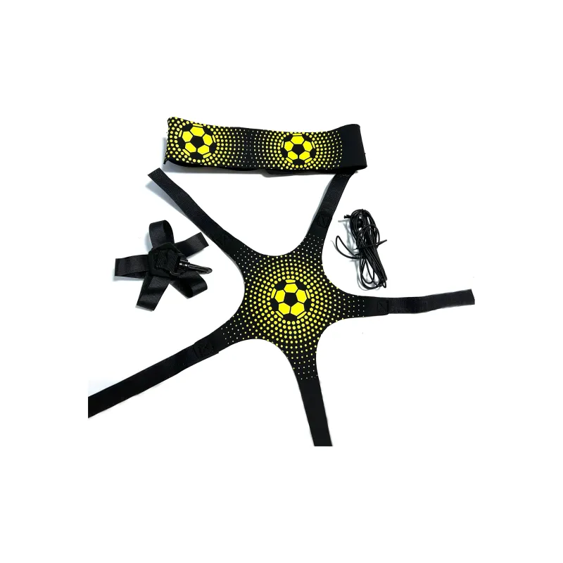 BB-X SPECIAL Basketball Training Equipment-1