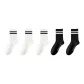 Milk White Double Stripe 3+Black Double Stripe 2