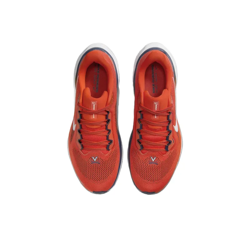 Nike Air Zoom Pegasus 41 Virginia-3
