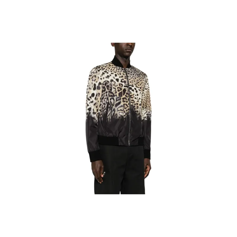 Roberto Cavalli Tiger Tooth-detailed Leopard-print Bomber Jacket-3