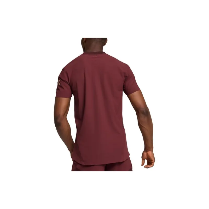 PUMA Jersey Para Hombre Manchester City Authentic Third 24/25-3