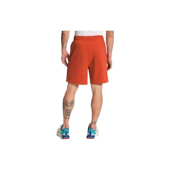 THE NORTH FACE Sports Shorts Men Orange