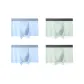 Light Blue+Light Blue+Light Green+Light Green