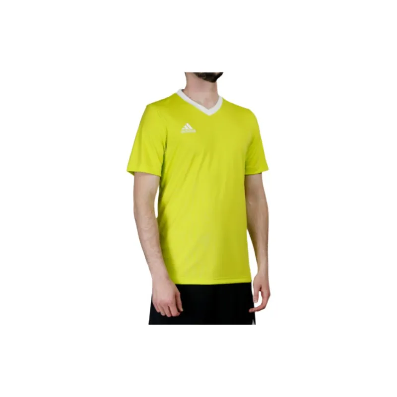 Adidas Entrada 22 T Shirts Men Green-5