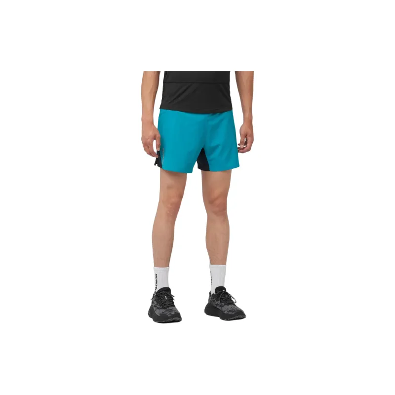 SALOMON CROSS 5' Casual Shorts Men's Blue-1