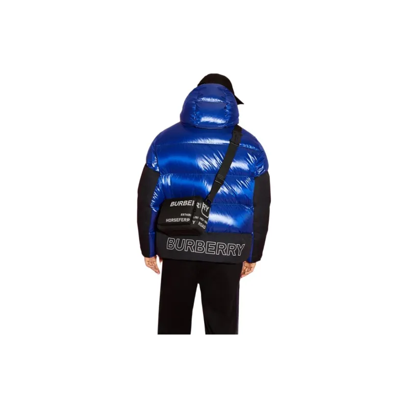 Burberry FW22 Down Jacket Men's Blue-2
