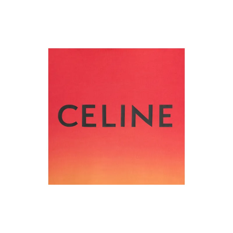 CELINE Loose Hoodie-6