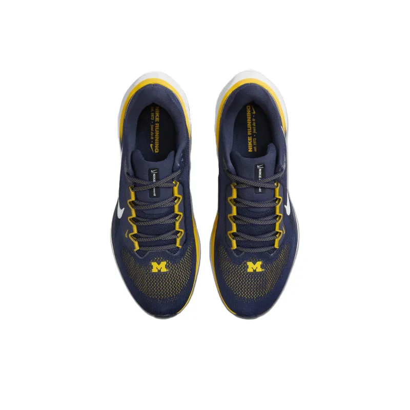 Nike Air Zoom Pegasus 41 Michigan-2