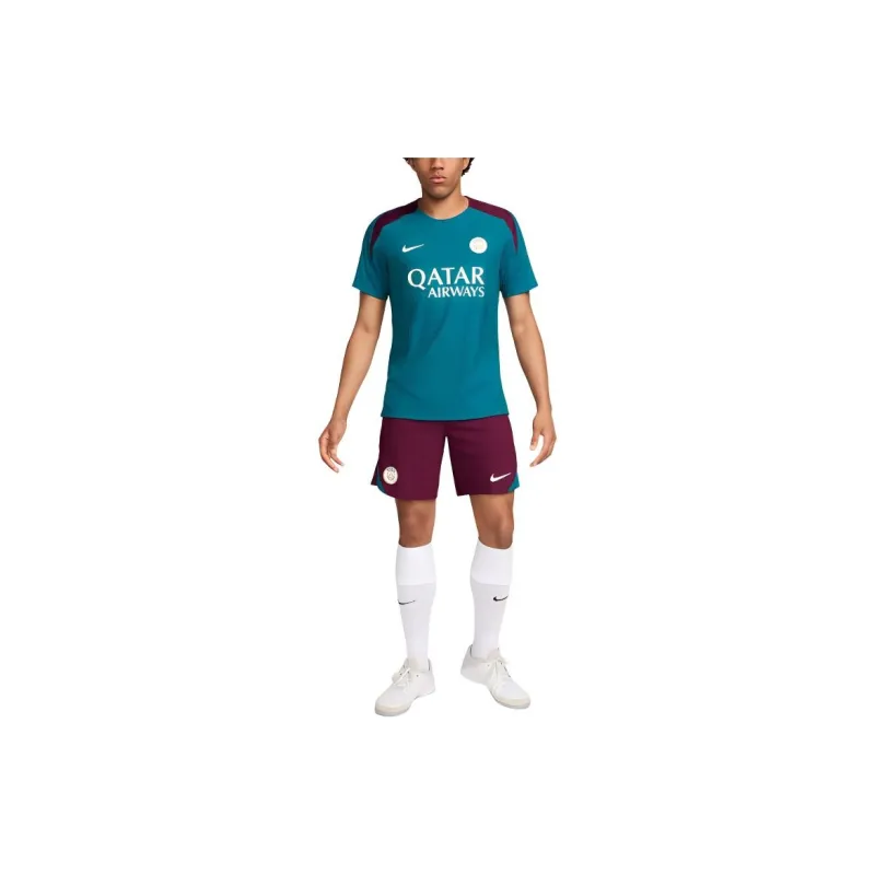 Nike Dri FIT Casual Shorts Men's Burgundy-2