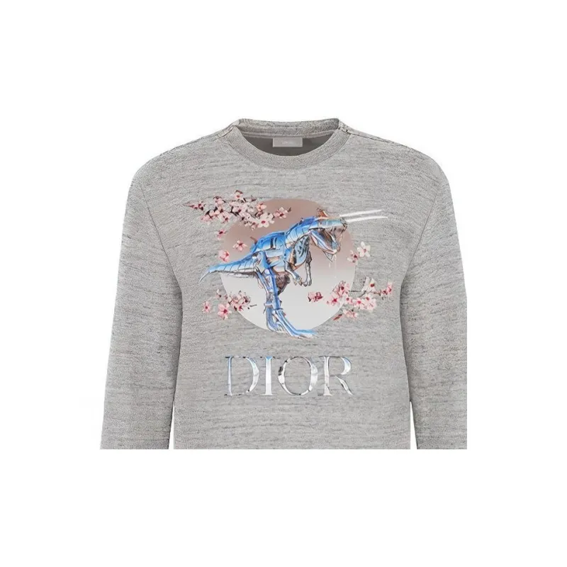 DIOR Quarterly New Products Sweatshirts Unisex Gray-11