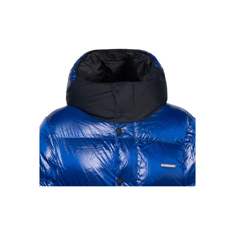 Burberry FW22 Down Jacket Men's Blue-4