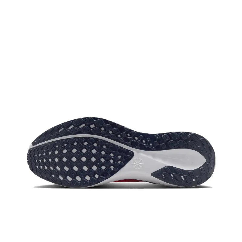 Nike Air Zoom Pegasus 41 Virginia-5