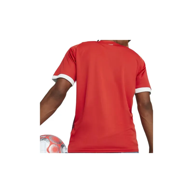 PUMA Switzerland Football 23/24 Home Soccer Jerseys Men's Pinma Red-2