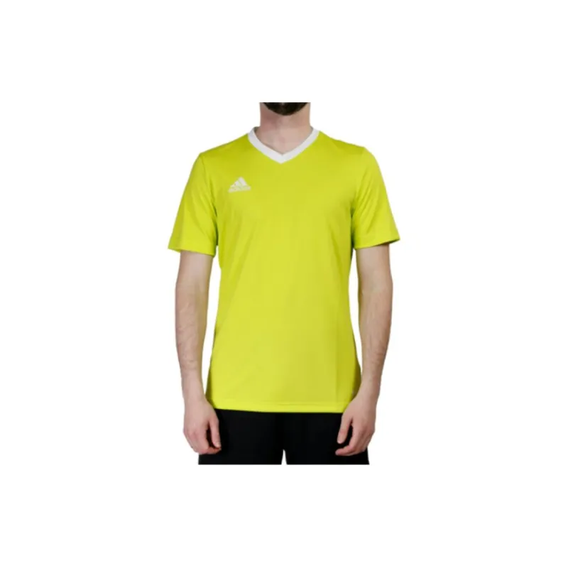Adidas Entrada 22 T Shirts Men Green-6