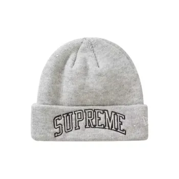 Supreme New Era Metallic Arc Beanie