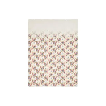 LOEWE Silk Shawls Women's Multicolor