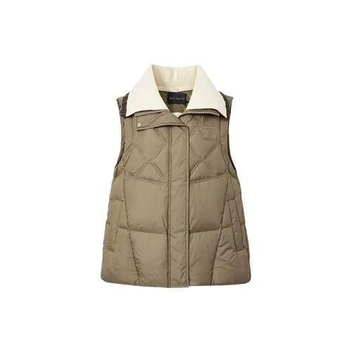 DESIGNICE Down Jackets Women's Pine Wood Color