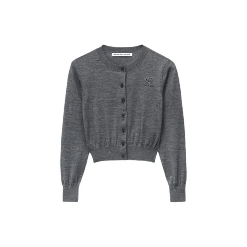 Alexander Wang Sweaters Women's Charcoal Gray