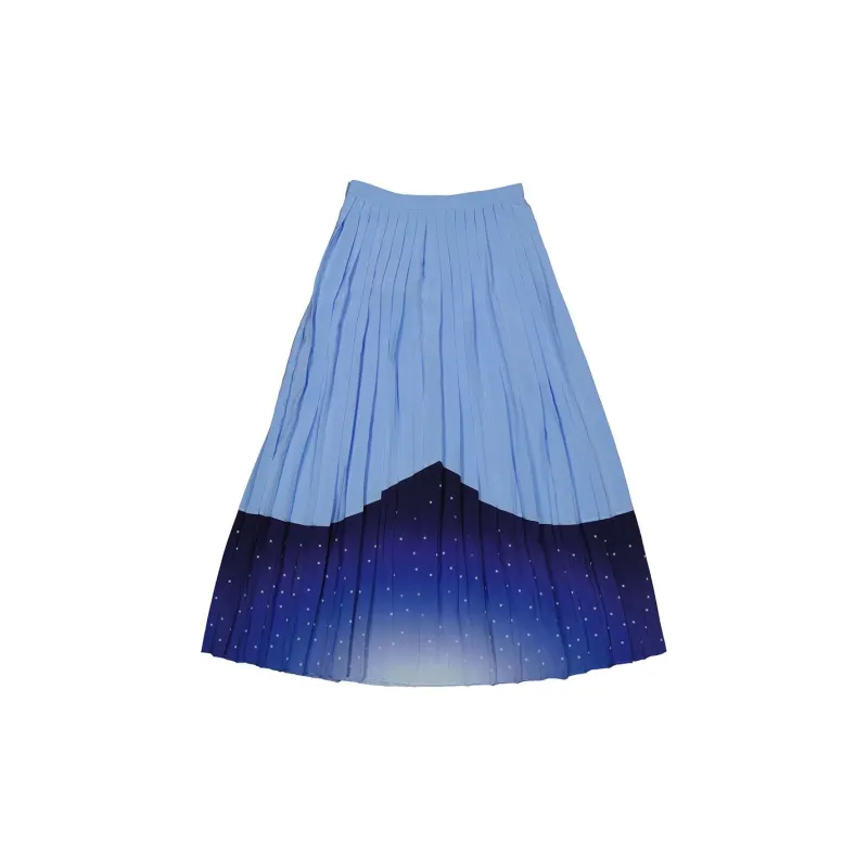 Burberry Casual Long Skirts Women's Blue-1