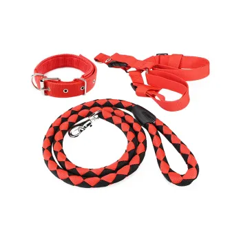 Kimpets Leashes