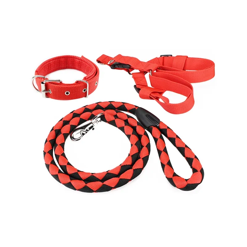 Kimpets Leashes-0