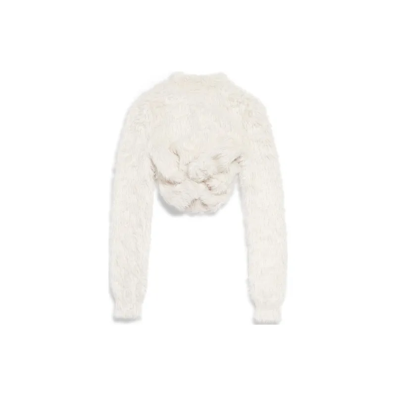 Balenciaga Long Sleeve Cropped Top-1