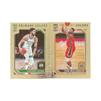 PANINI 2021 22 Elite Tatum+Zion Tekka Silver Parallel Star Player Cards Universal Acceptance Sports Cards 2 Pcs