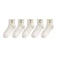 5-Pack Ecru