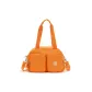 Apricot Color
