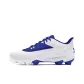 Royal/White