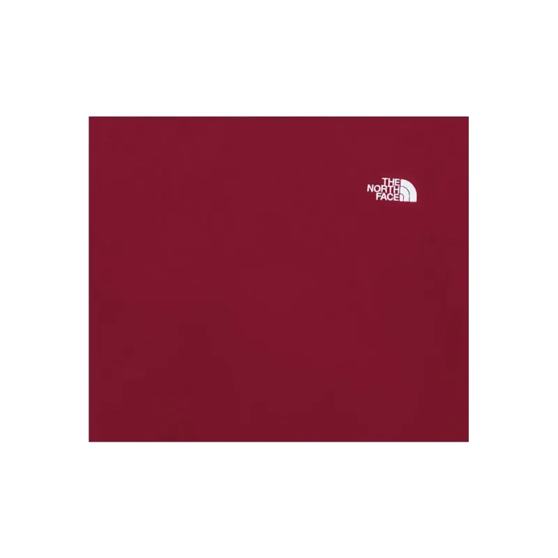 THE NORTH FACE Evolution Box Fit T Shirt Men's Beetroot-4