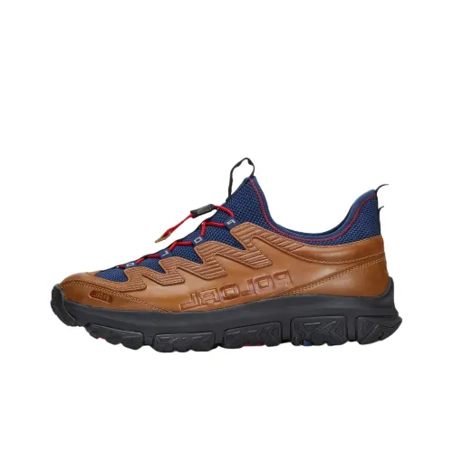 Polo Ralph Lauren Adventure 300LT Low-Top Casual Shoes Men's Brown