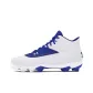 Royal/White
