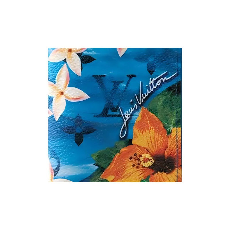 LOUIS VUITTON Pocket Organizer Monogram Surfin' Bright Blue-3